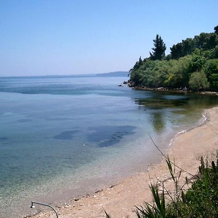 Casa Dei Venti - Sea View Apartments - 100M From The Beach Μπενίτσες Εξωτερικό φωτογραφία